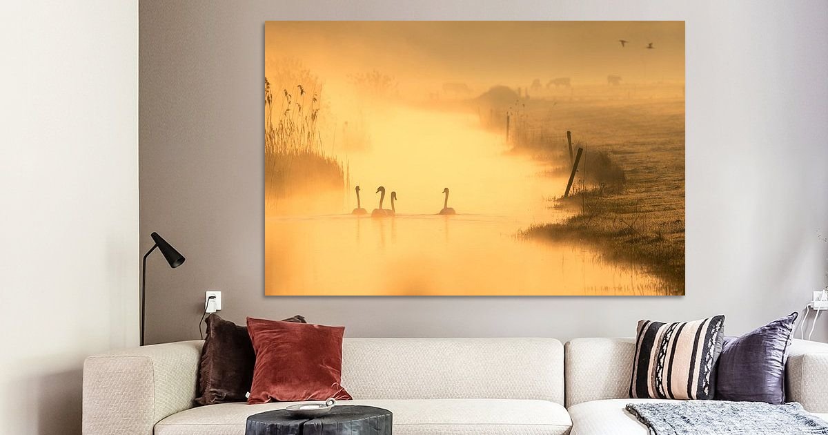 Morgenstond heeft goud in de mond van Erik Veldkamp op canvas, behang